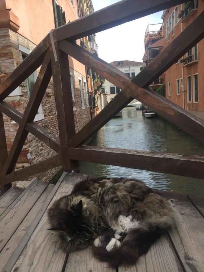 Tintoretto Vista Real Venecia Exterior foto